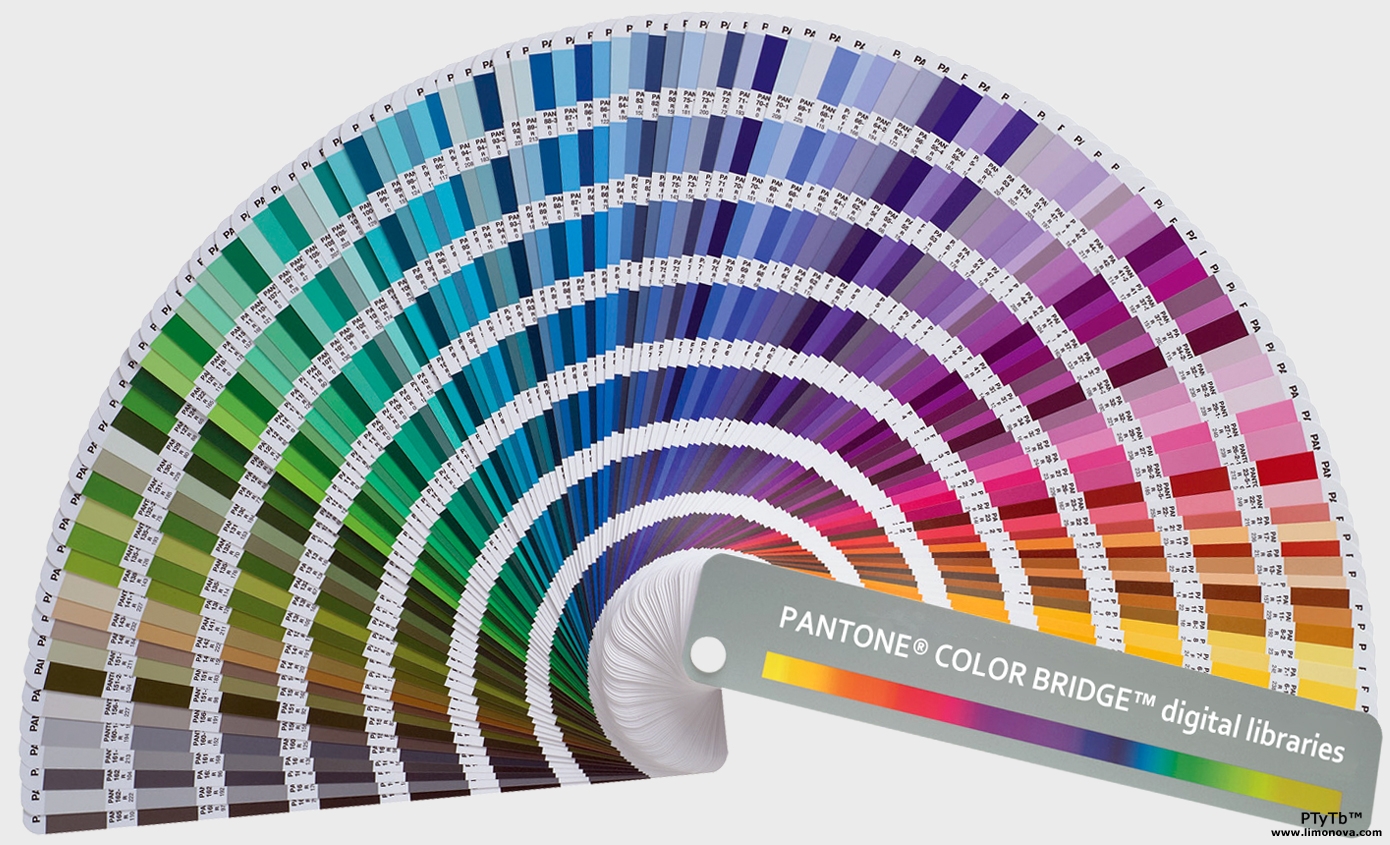 Pantone Color Pallet